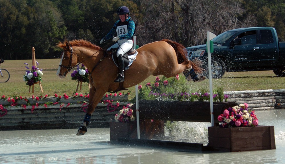 Horsefucker chronicles essay 02 picture