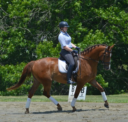 Dreaming of horses english edition