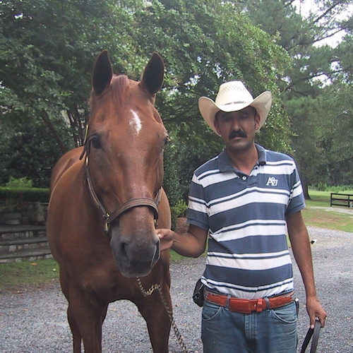 The Chronicle of the Horse