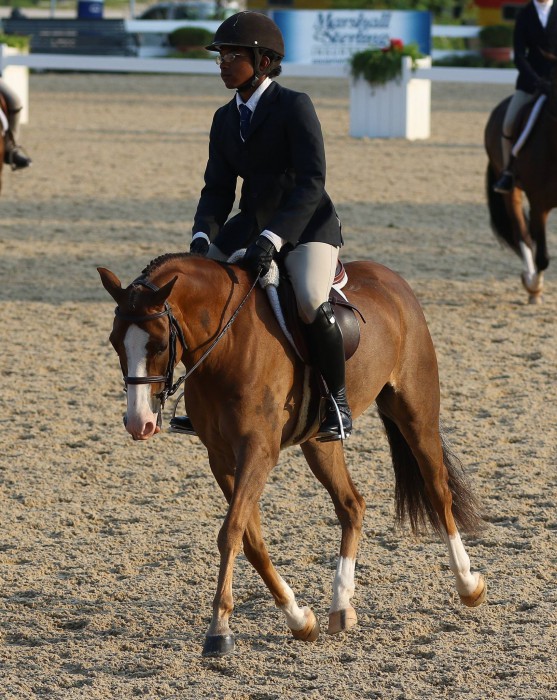 Look for Miguel Wilson and Woodlands Churchill in the medium green pony division this USEF Pony Finals. Photo courtesy of Miguel Wilson.