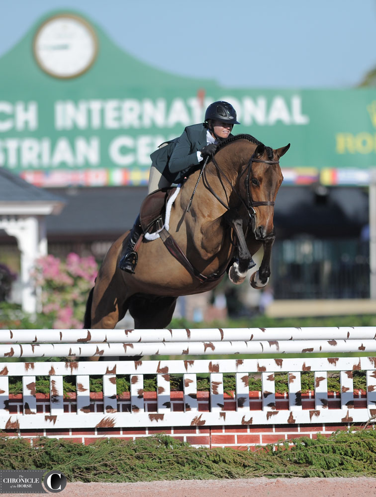 Which WEF Hunter Jumped It Best? - The Chronicle of the Horse