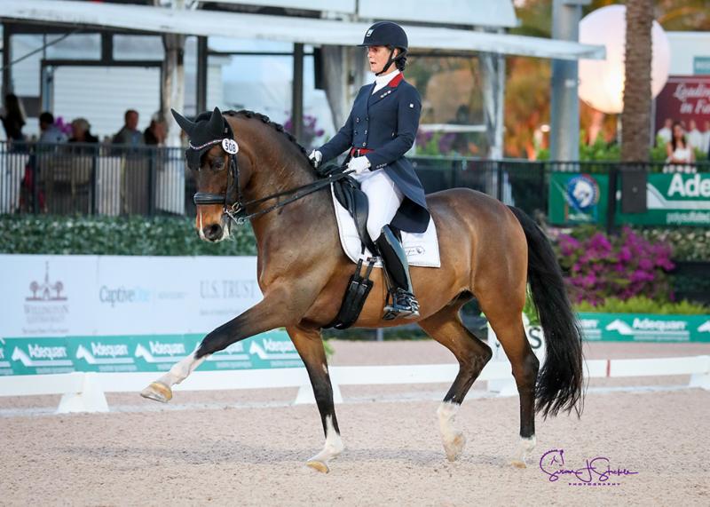 It s A Clean Sweep For Baumert At AGDF 10 The Chronicle of the Horse