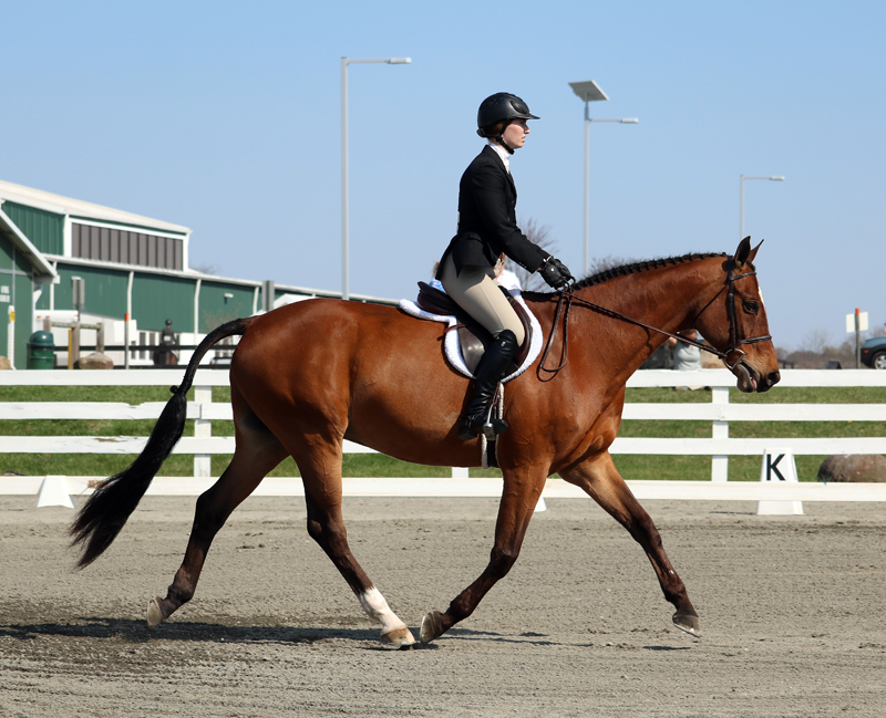 Olympic hopeful attacked at Rowebuck stud farm near Isfield