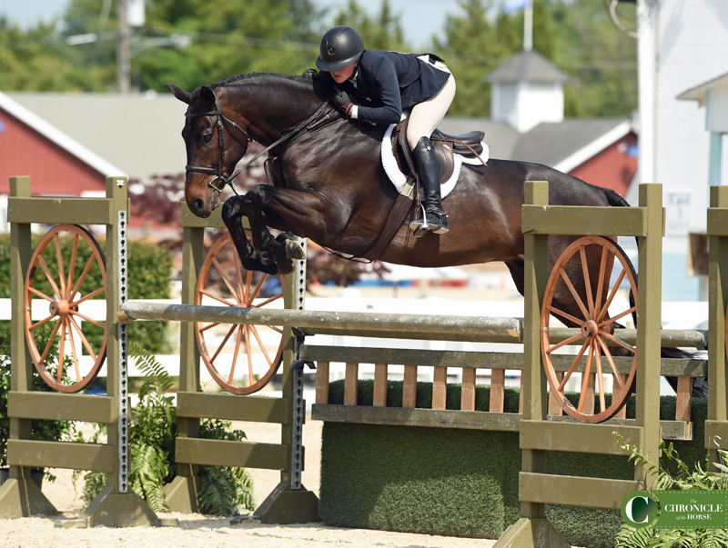 Who Jumped It Best The Devon Horse Show The Chronicle of the Horse