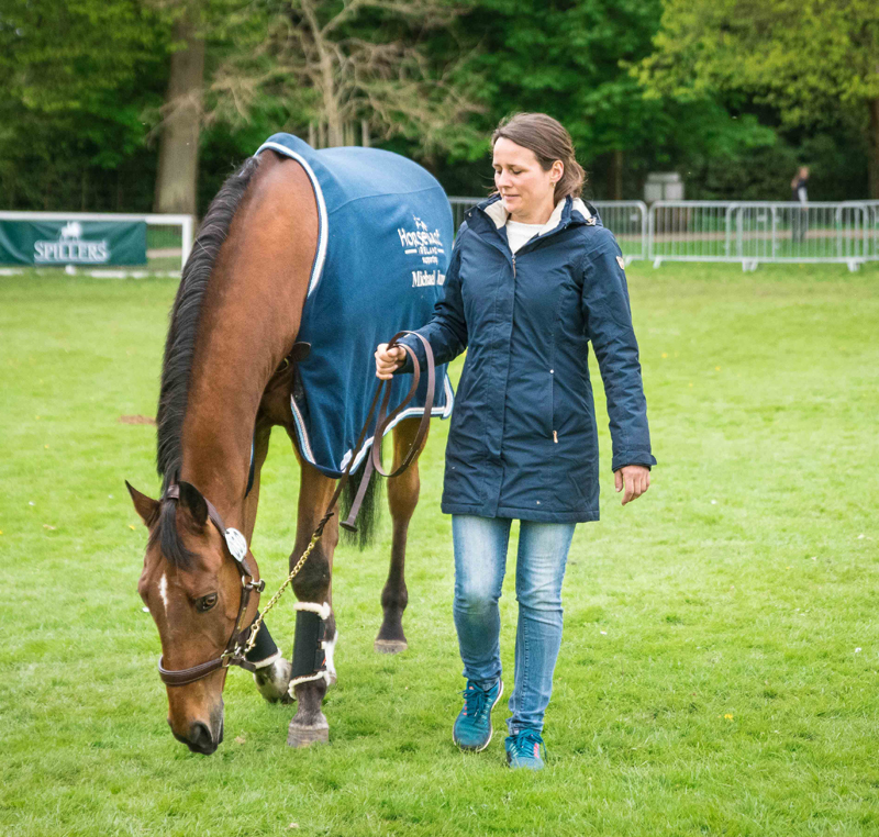 Behind the Stall Door With: La Biosthetique Sam FBW - The Chronicle of the  Horse