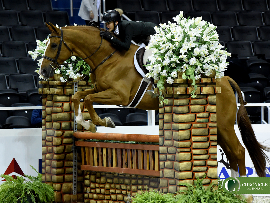 Christina Fisher and Everything Is Gucci rode into an emotional reserve champion spot for the 3'6" Amateur-Owner Working Hunter under 35 championship. Photo by Emily Stakem. 