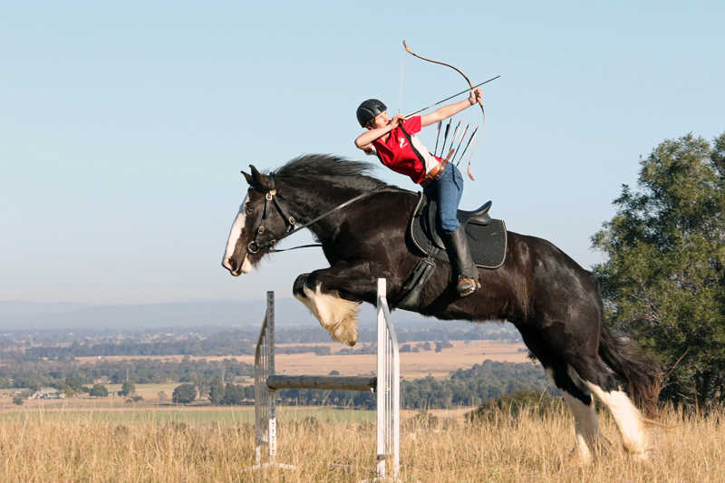 shire horse riding