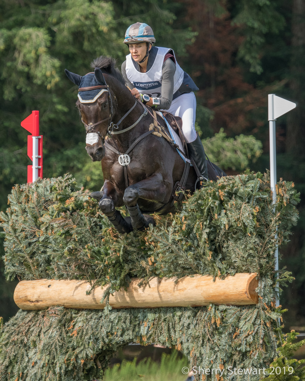 Price Vaults To Luhmuhlen Lead While Stutes Remains In The Top 10 The Chronicle of the Horse