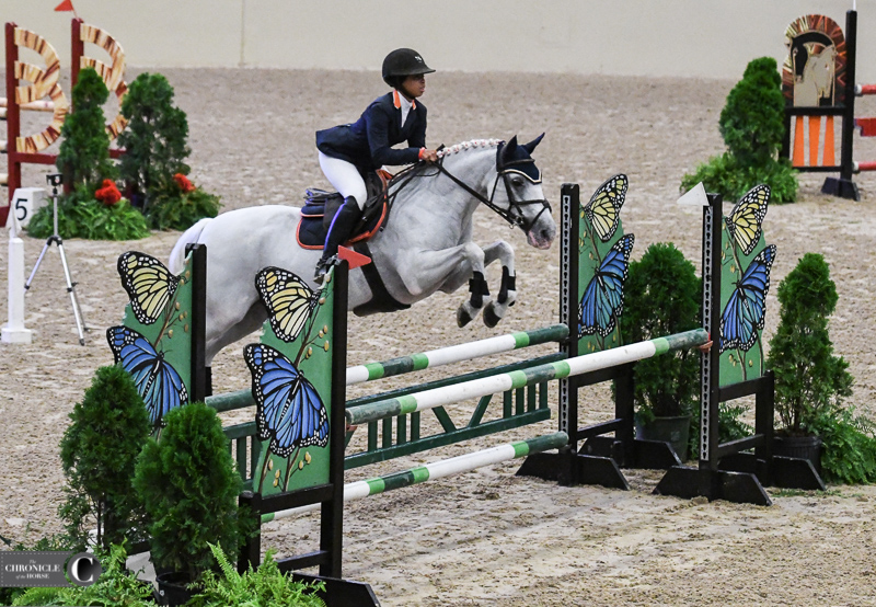 Sky Miles Gets Her Swan Song At U.S. Pony Jumper National Championships -  The Chronicle of the Horse