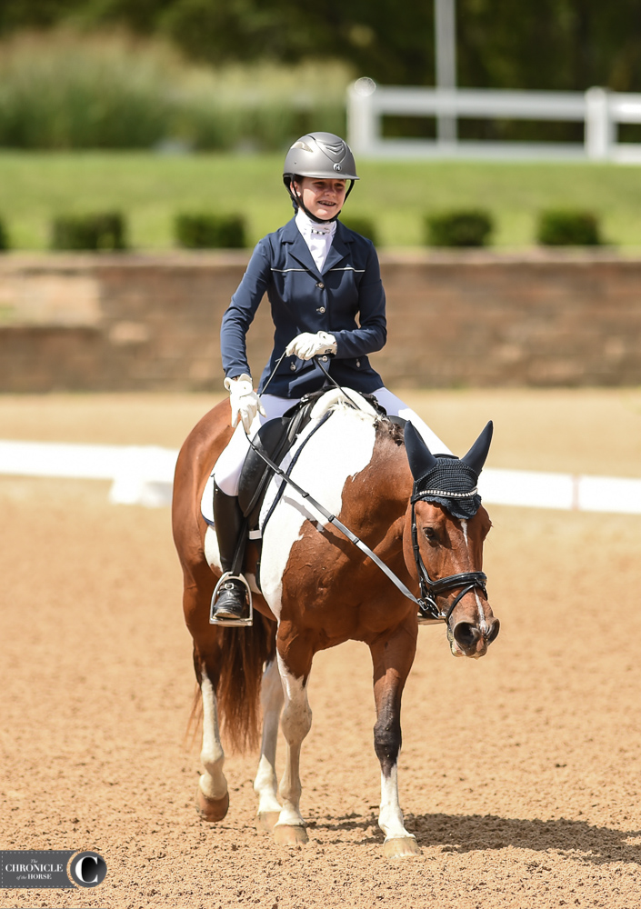 Lily Of Chincoteague Brings Some Color To The Festival Of Champions - The  Chronicle of the Horse