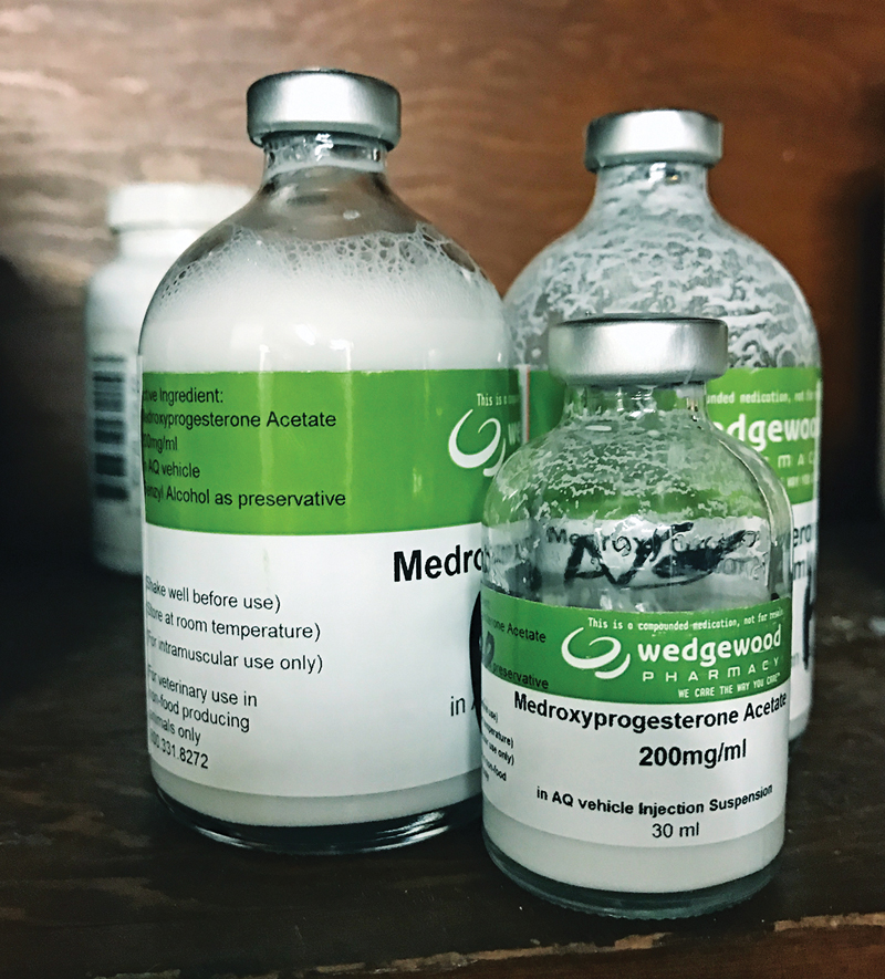 Medroxy bottles