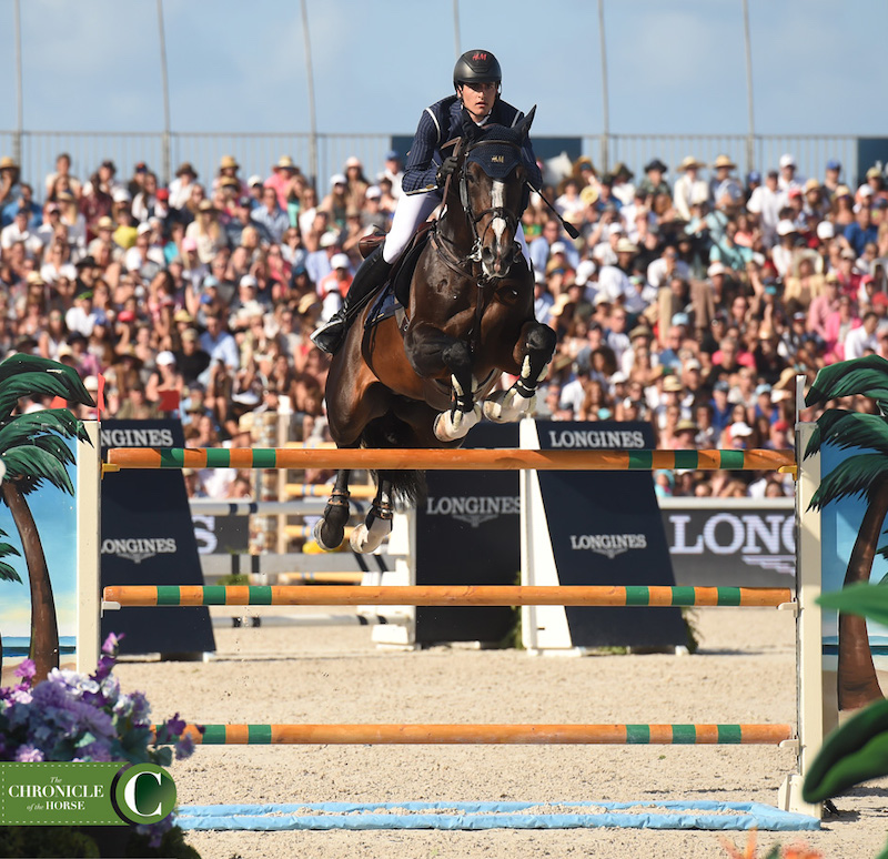 H&M Chilli Willi Euthanized After Injury At WEF - The Chronicle of the ...