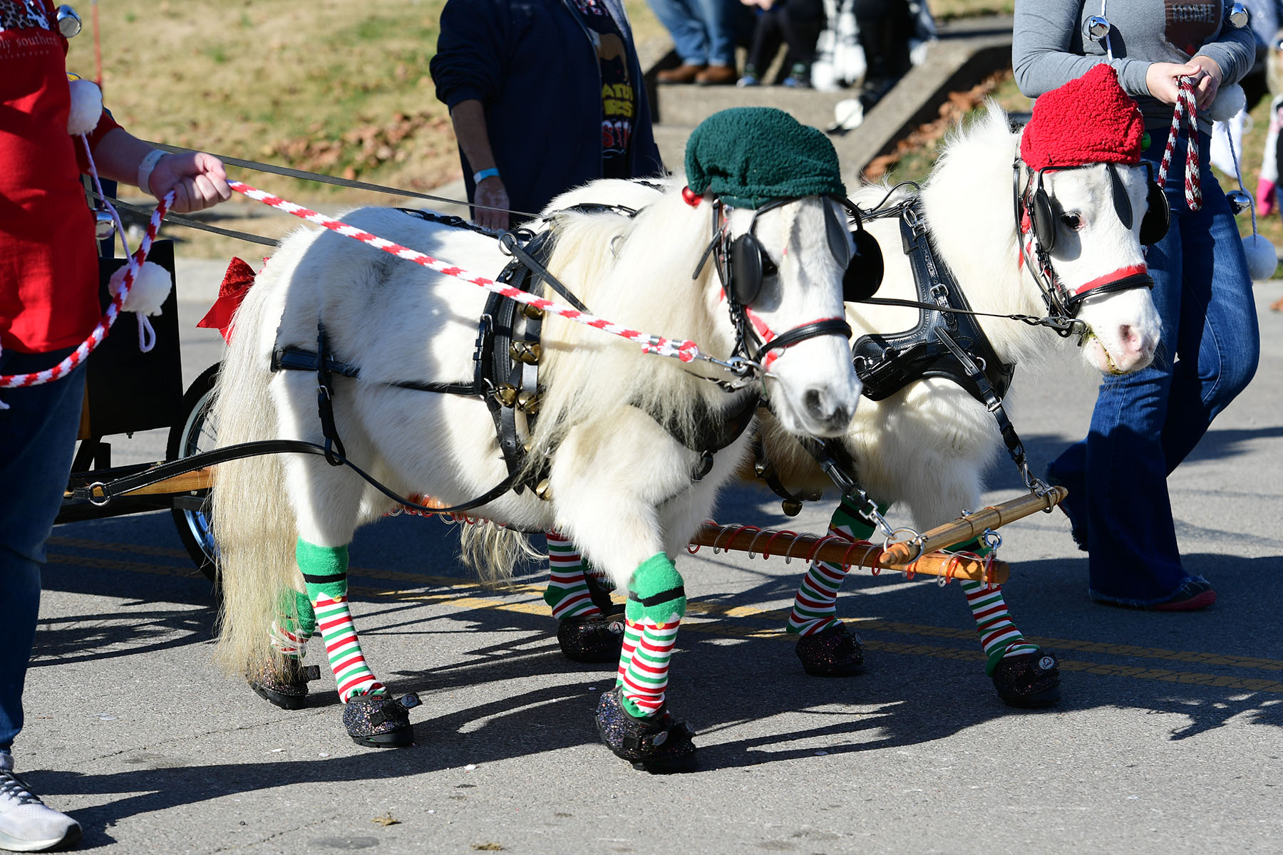 Lebanon Christmas Carriage Parade Delivers HorseDrawn Holiday Spirit