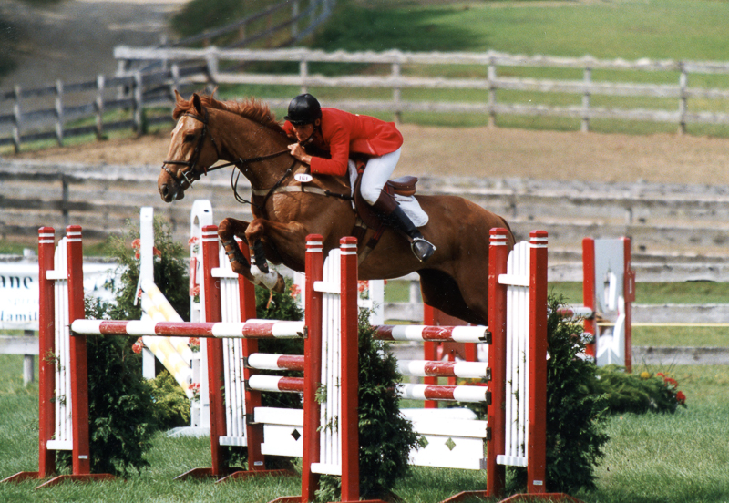 horse jumping high without rider