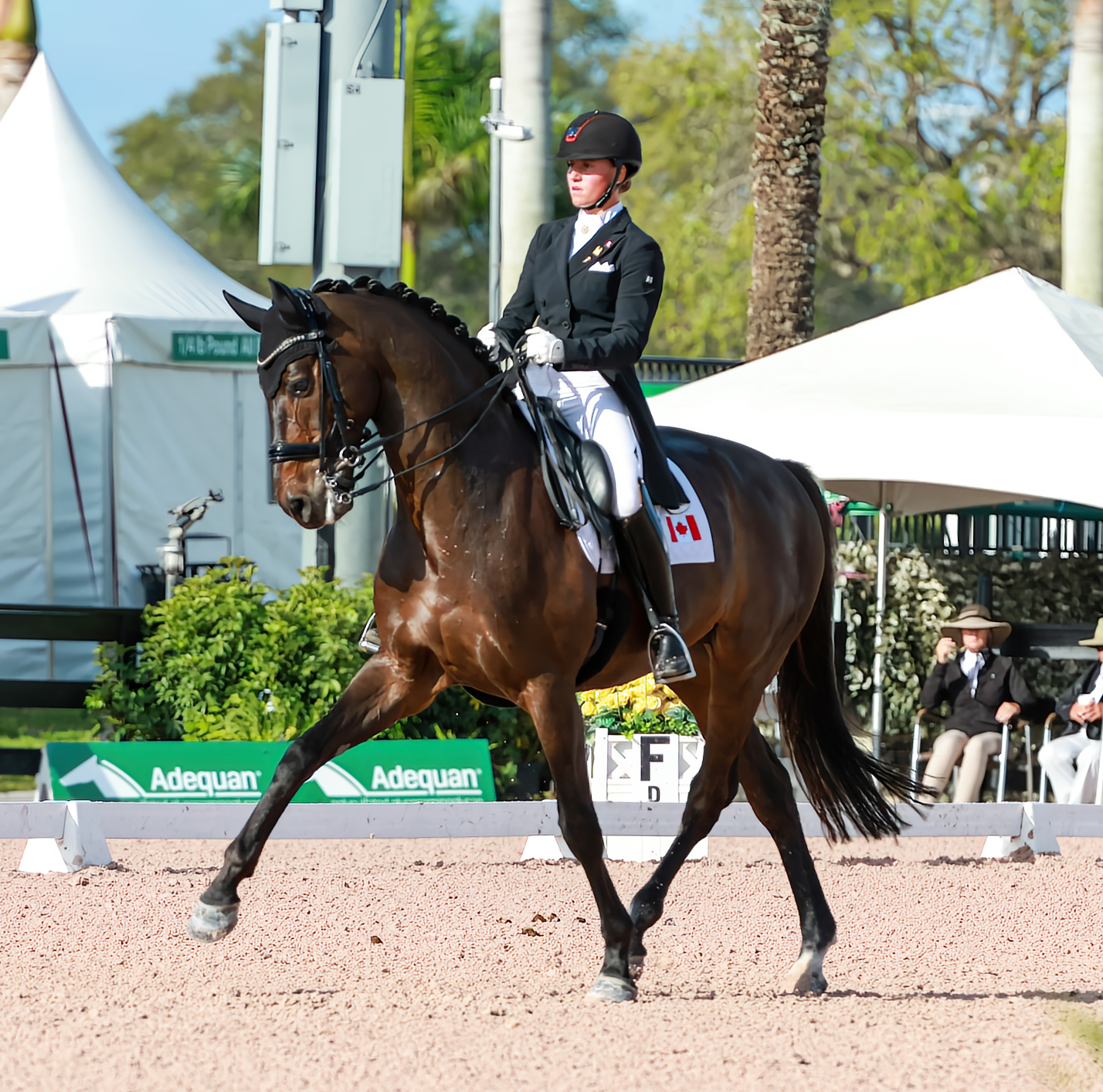 Winner Of The Week Bergeron Enjoying The View From The Top Of Fei U25