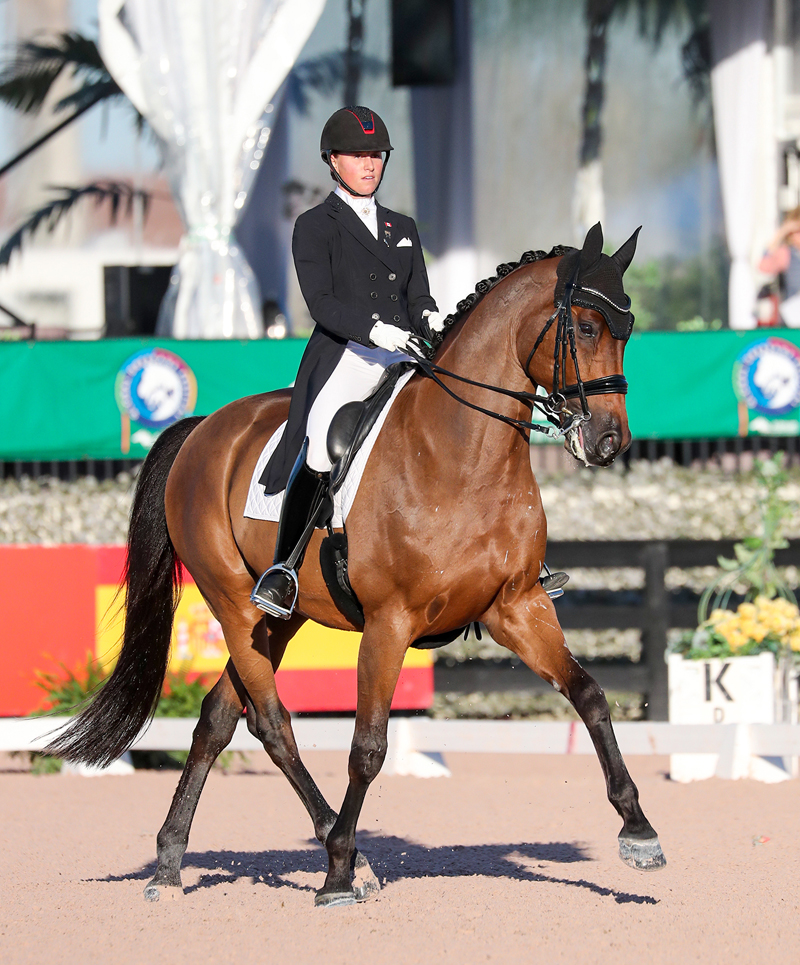 Winner Of The Week Bergeron Enjoying The View From The Top Of Fei U25