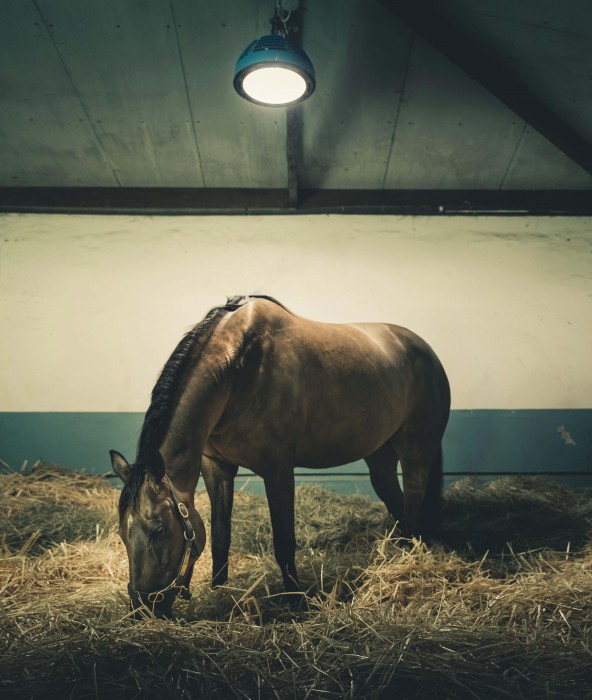 Stable Light