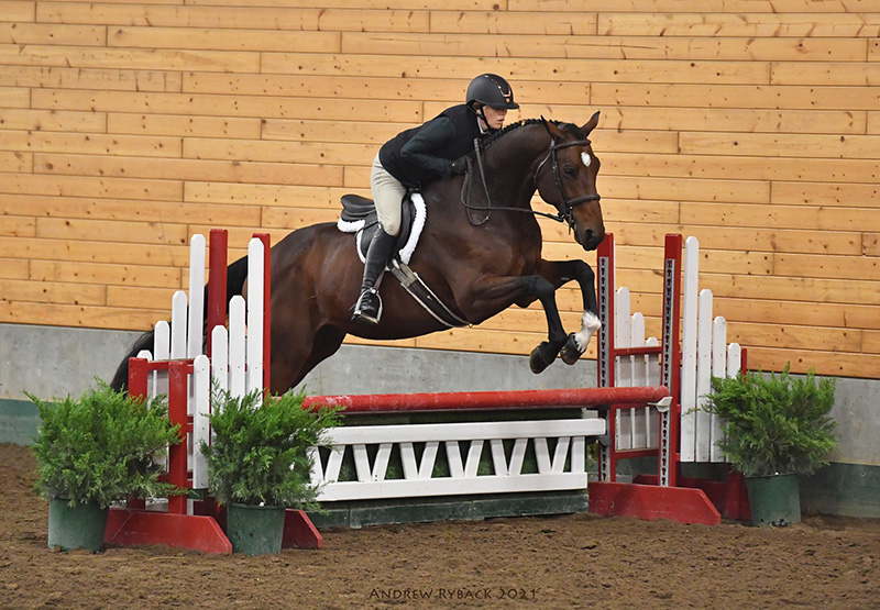 In 2021, his first year showing, Joe earned enough points in 2021 to capture the year-end championship in the low adult hunter division for the Minnesota Hunter Jumper Association, and ranked third in the same division for the U.S. Hunter Jumper Association Zone 6. Andrew Ryback Photo