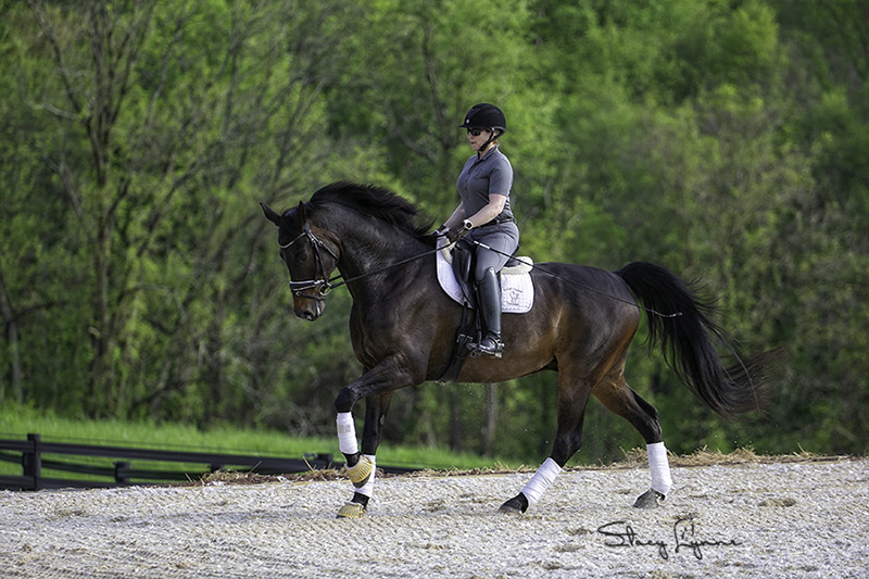 Larry-May 2021 canter