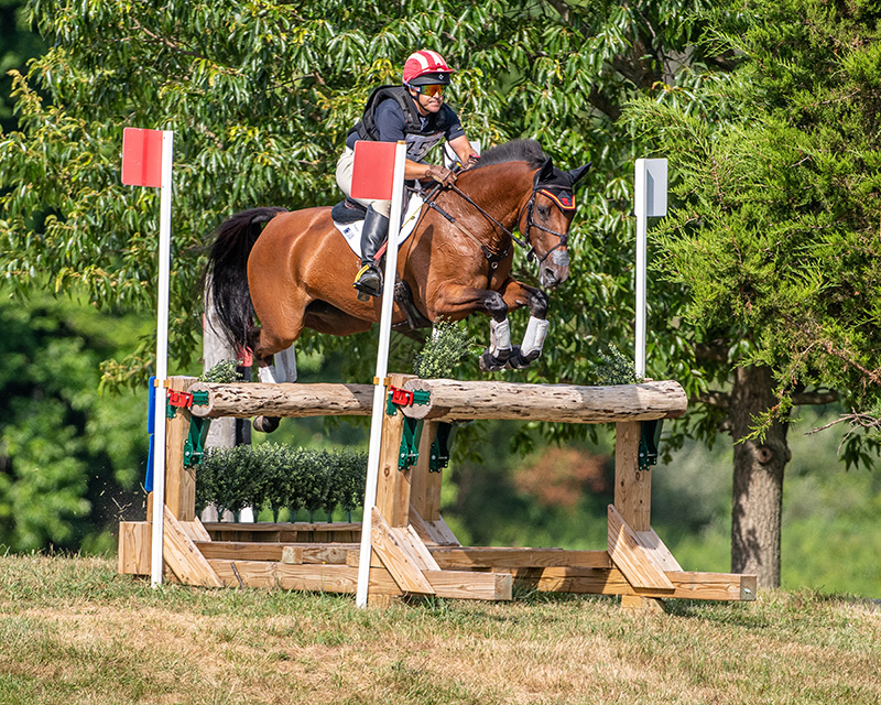 Show jumping with the hobby horse – DW – 07/20/2023