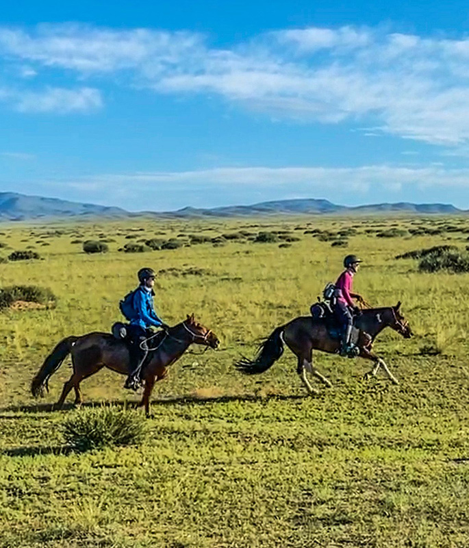 Yearning gallop