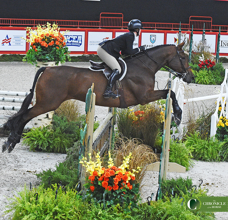 Triple Bar Standards Wood Horse Jumps #203– Platinum Jumps