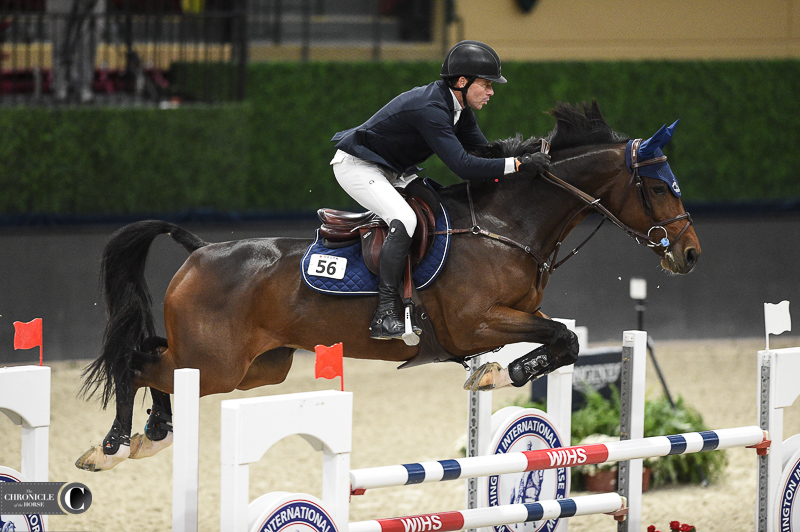 black show jumping horses