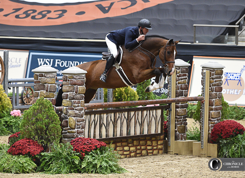 The Unbeatable Cannon Creek Headlines National Horse Show - The ...