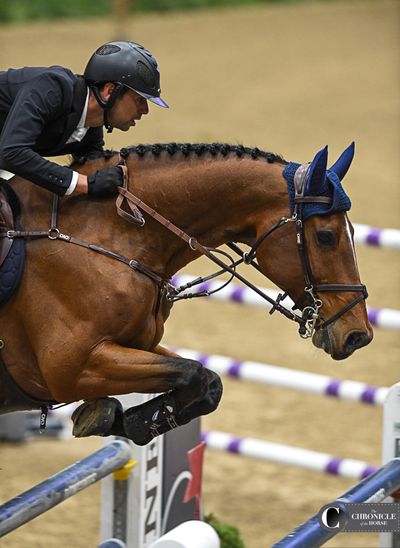 Nicholas Dello Joio Makes Winning Royal Horse Show Debut in CSI5*-W Big Ben  Challenge - The Plaid Horse Magazine