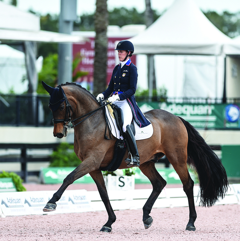 Olivia Towers: On Mindset, Dressage & Being Enough - Confident Rider -  Mindset, Movement & Nervous System Regulation for Equestrians