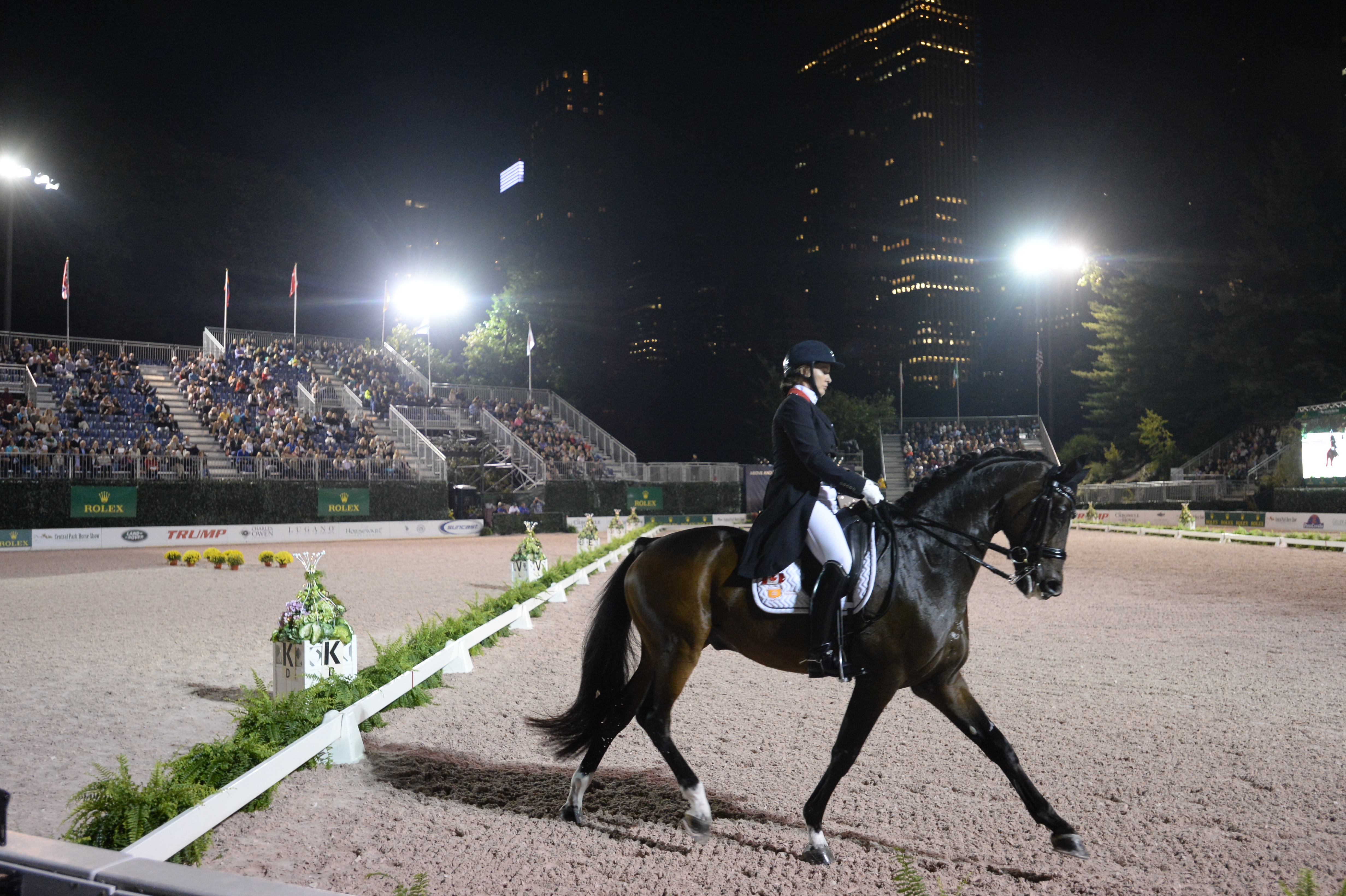 Central Park Horse Show