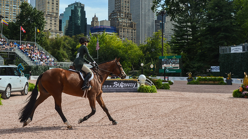 Central Park Horse Shows